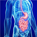 Gastroenteroloji
