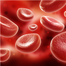 Hematoloji